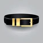 black belt with gold buckle image